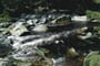CR_Sumava_Povydri_3_10