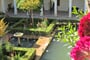 generalife-14