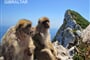 Gibraltar_02